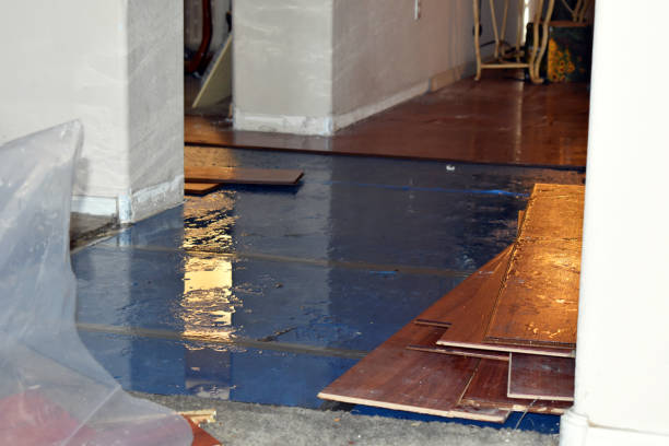 Professional Flood Cleanup technician working in Grawn, MI